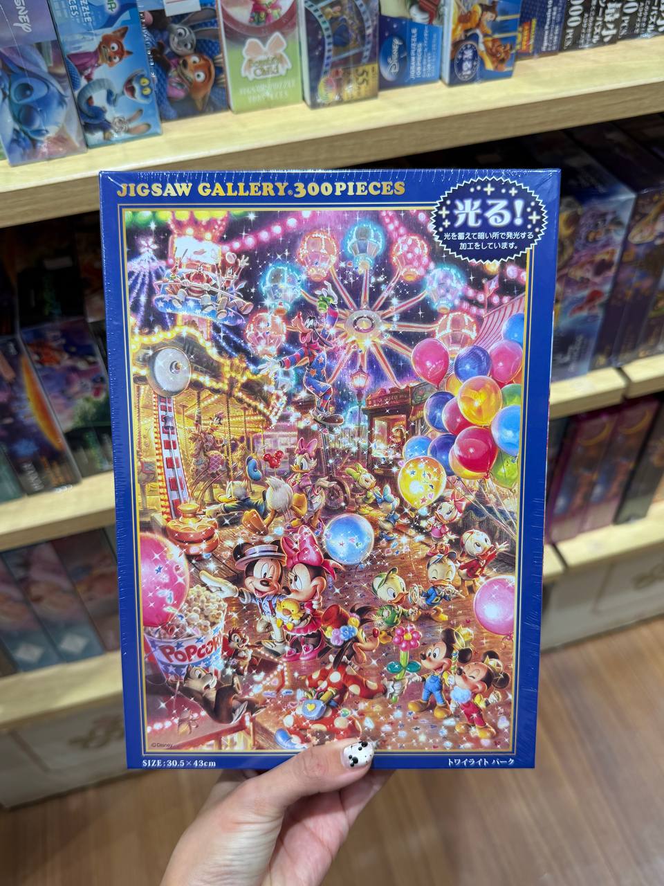 Puzzle Disney Parque de 300 Piezas