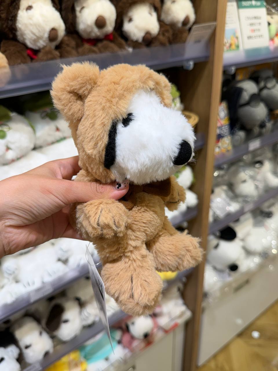 Peluche Perrito Café con Hocico Blanco