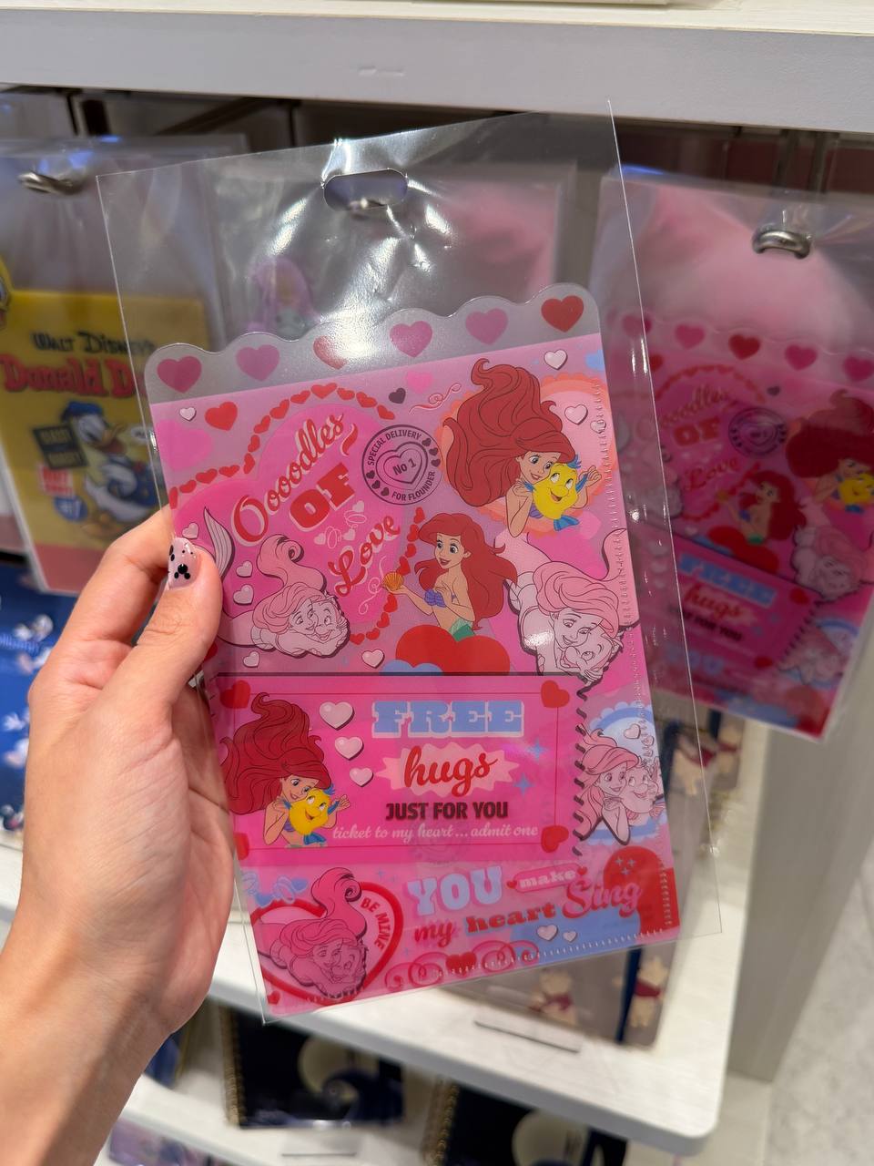 Mini Carpeta Ariel Corazones