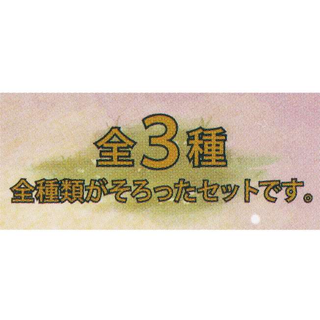 Set de 3 figuras de Fantasy Springs