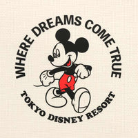 Lonchera de Mickey