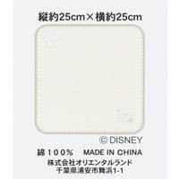 Mini toalla Tokyo Disney Resort