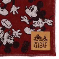 Toalla mini Mickey