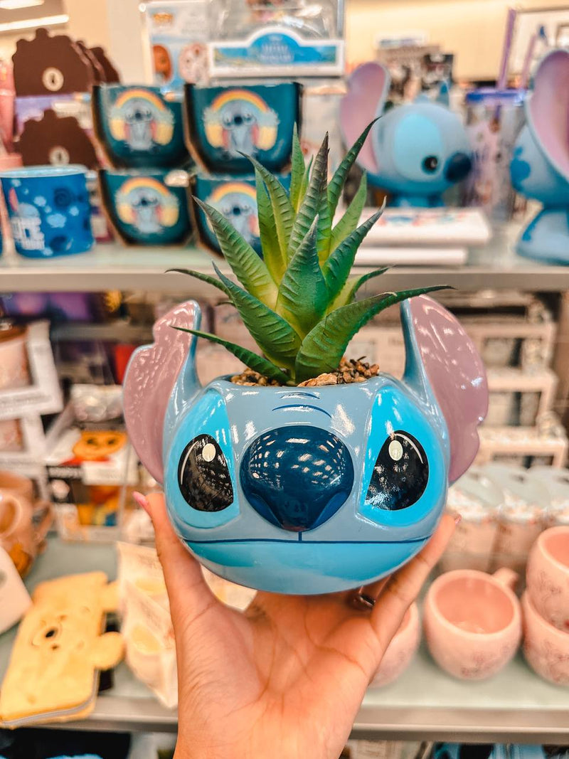 Suculenta Stitch Ceramic Plant