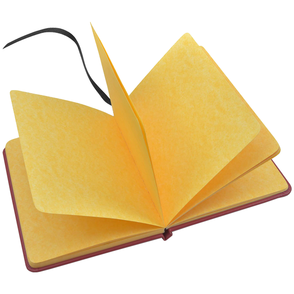Cuaderno con emblema de Gryffindor en relieve