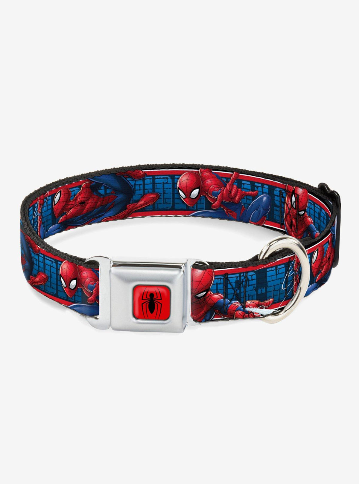 Collar para perro de Spider-Man con hebilla tipo cinturón