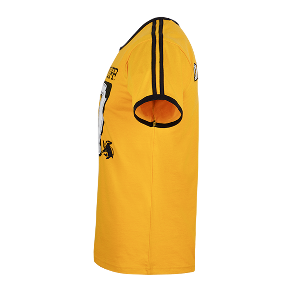 Polera de Quidditch Cedric Diggory