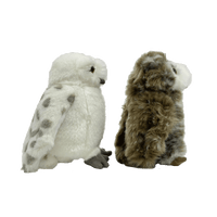 Set de peluches de Hedwig y Pigwidgeon