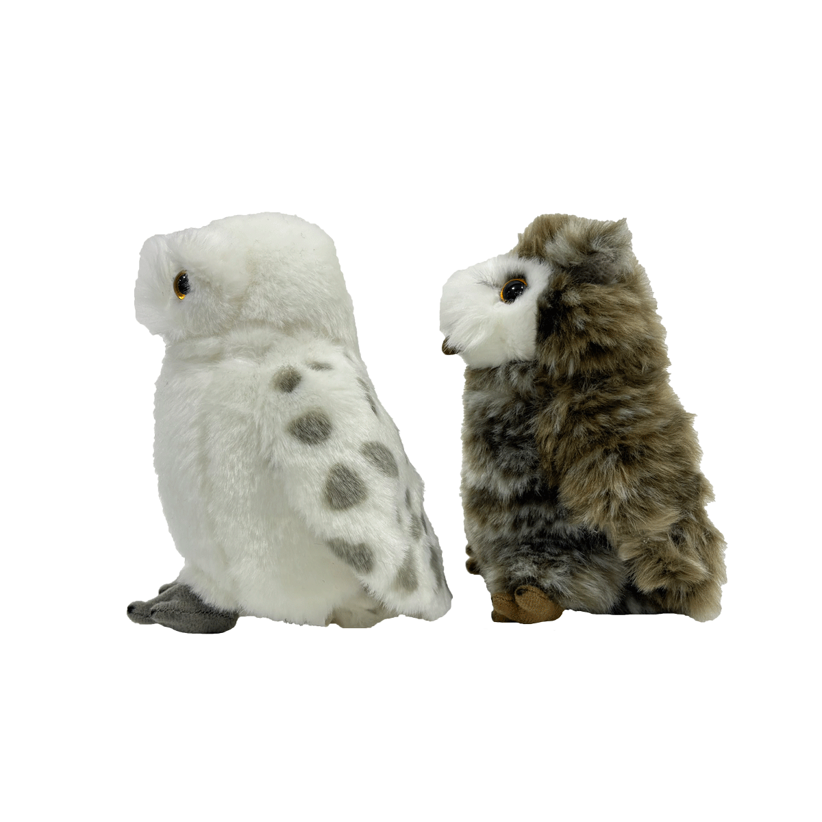 Set de peluches de Hedwig y Pigwidgeon