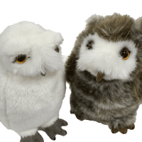 Set de peluches de Hedwig y Pigwidgeon