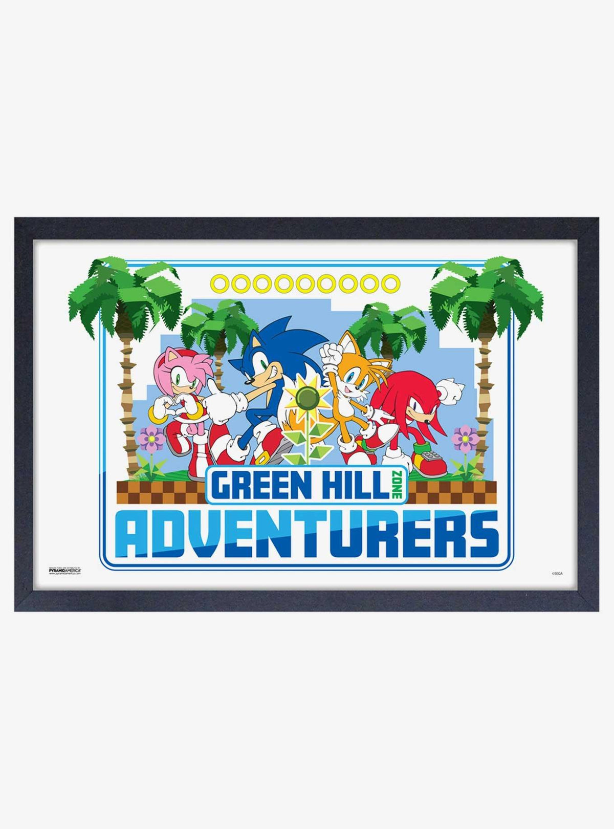 Cuadro enmarcado Sonic the Hedgehog