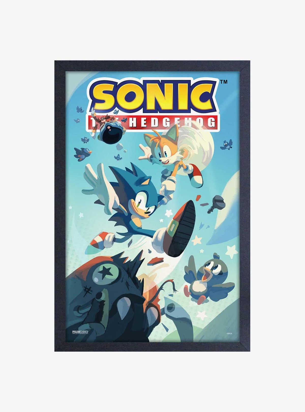 Cuadro enmarcado Sonic the Hedgehog: Aves voladoras
