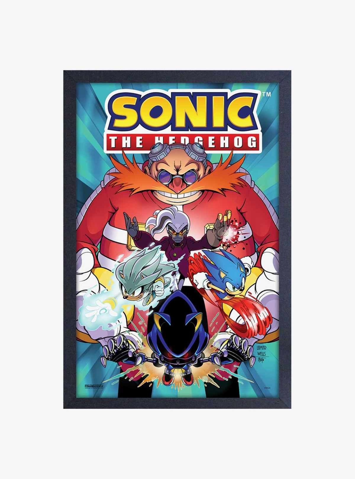 Cuadro enmarcado de Sonic the Hedgehog