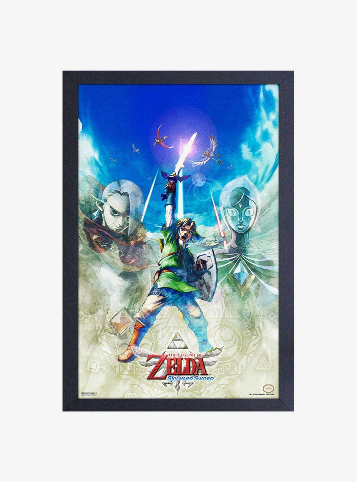The Legend of Zelda: Skyward Sword - Cuadro de Link