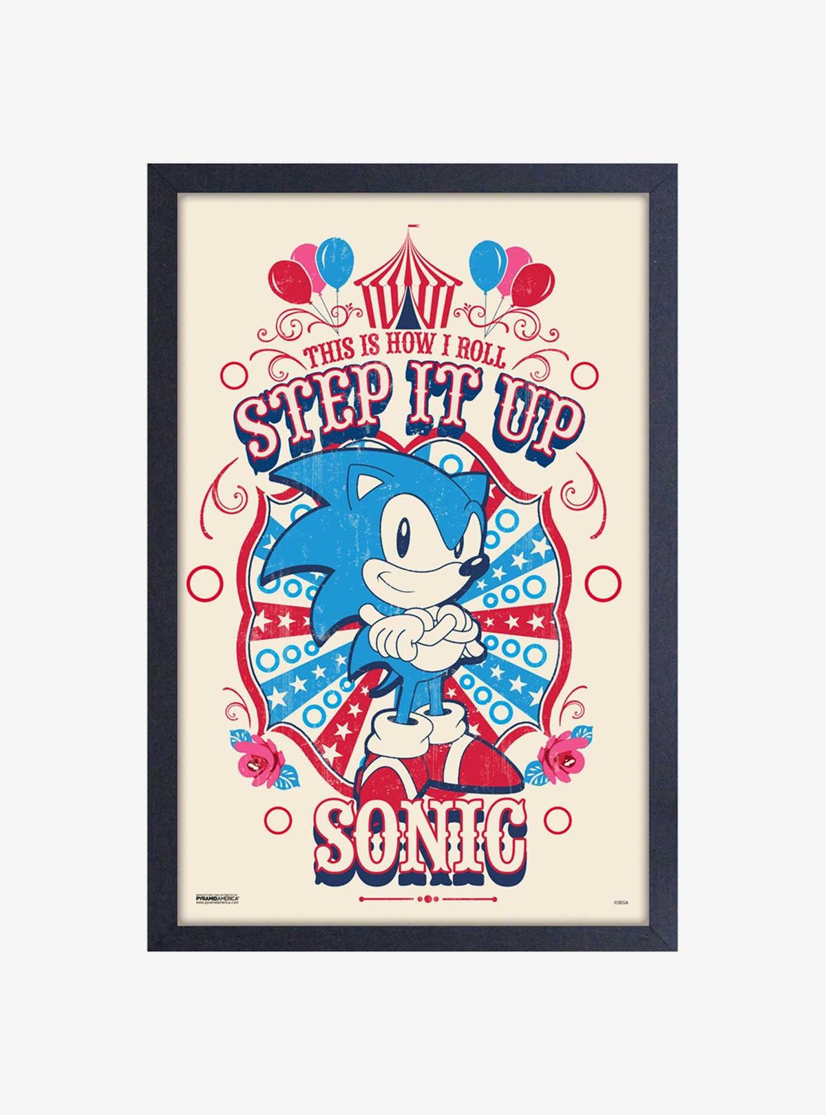Cuadro enmarcado Sonic the Hedgehog: Circo