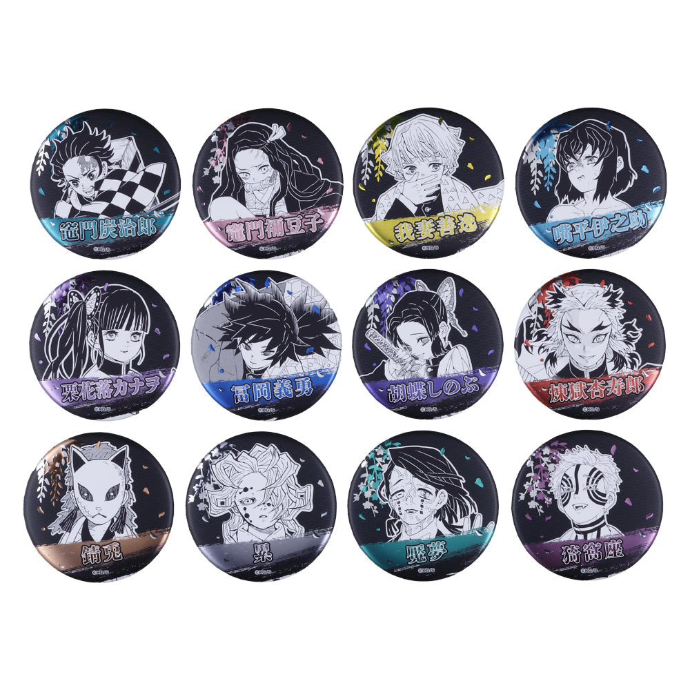 Pin Demon Slayer: Kimetsu no Yaiba – Serie 1