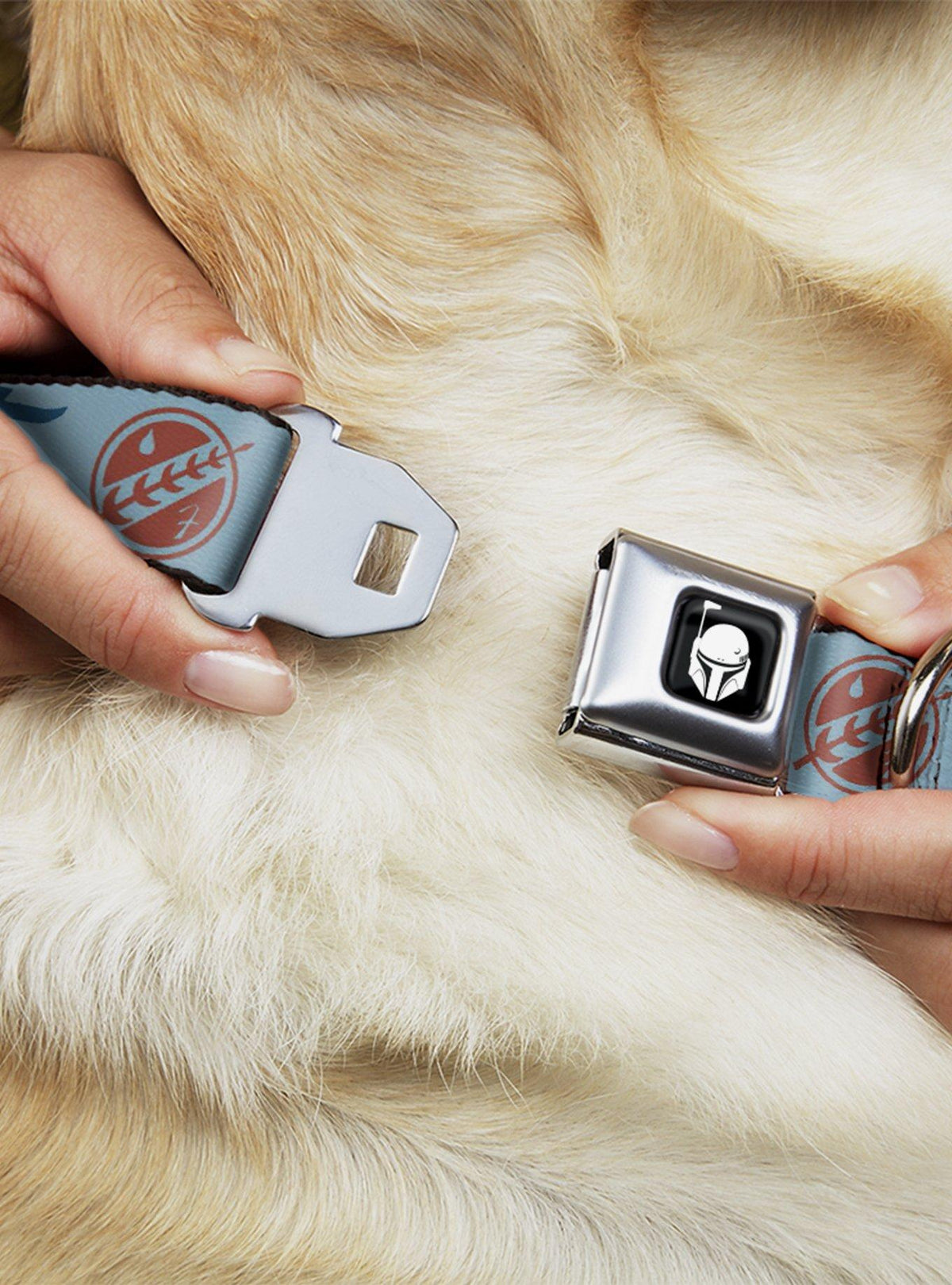 Collar para perro Star Wars: The Book of Boba Fett