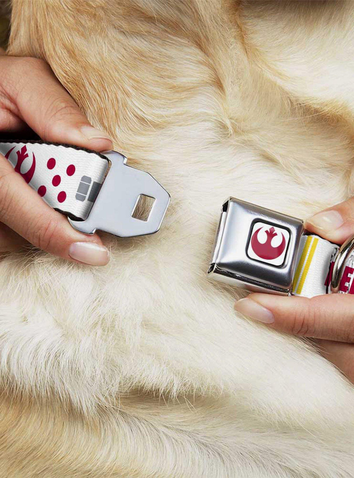 Collar para perro Star Wars Alianza Rebelde y X-Wing