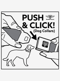 Collar para perro Scooby-Doo! con pose de Shaggy