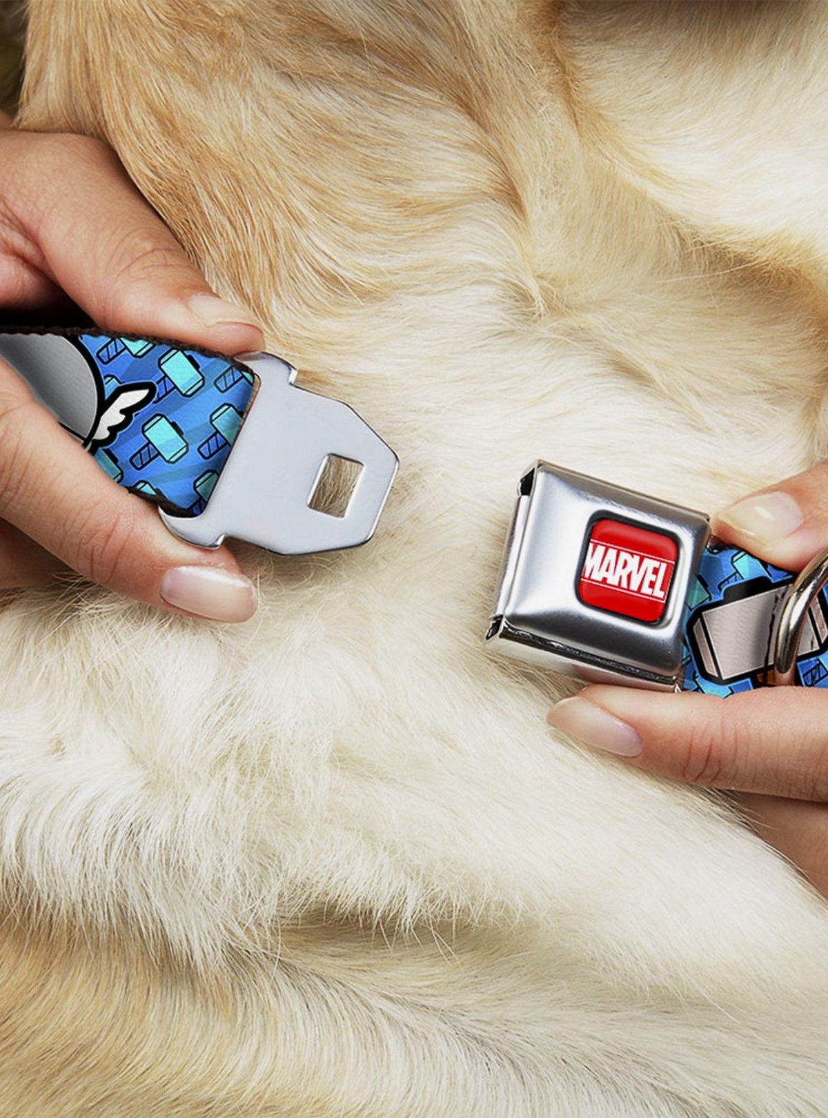 Collar para perro Marvel Thor con hebilla tipo cinturón