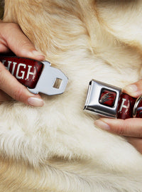 Collar para perro Springwood High de A Nightmare on Elm Street