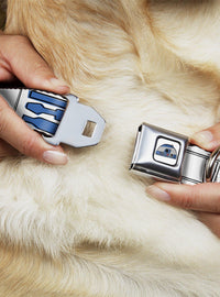 Collar para perro Star Wars R2-D2 con hebilla de cinturón