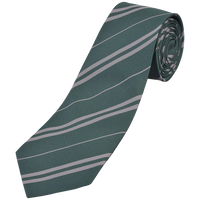 Set de disfraz infantil Slytherin 4XS-2XS