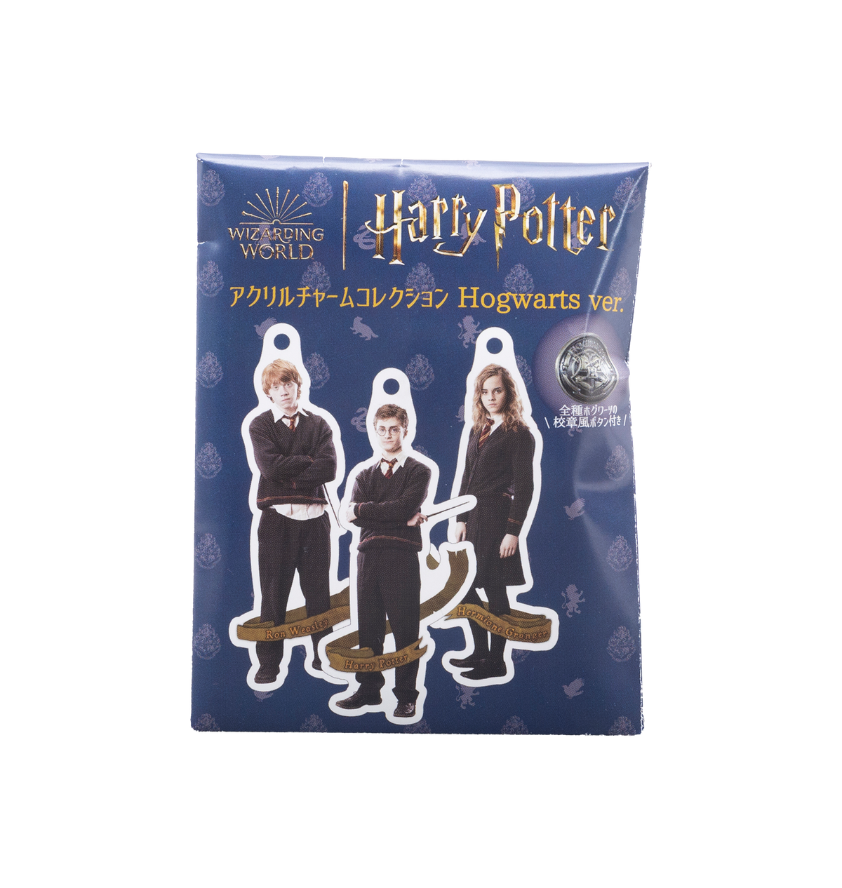 Set completo de llaveros acrílicos Hogwarts