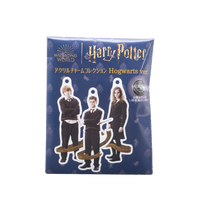Set completo de llaveros acrílicos Hogwarts