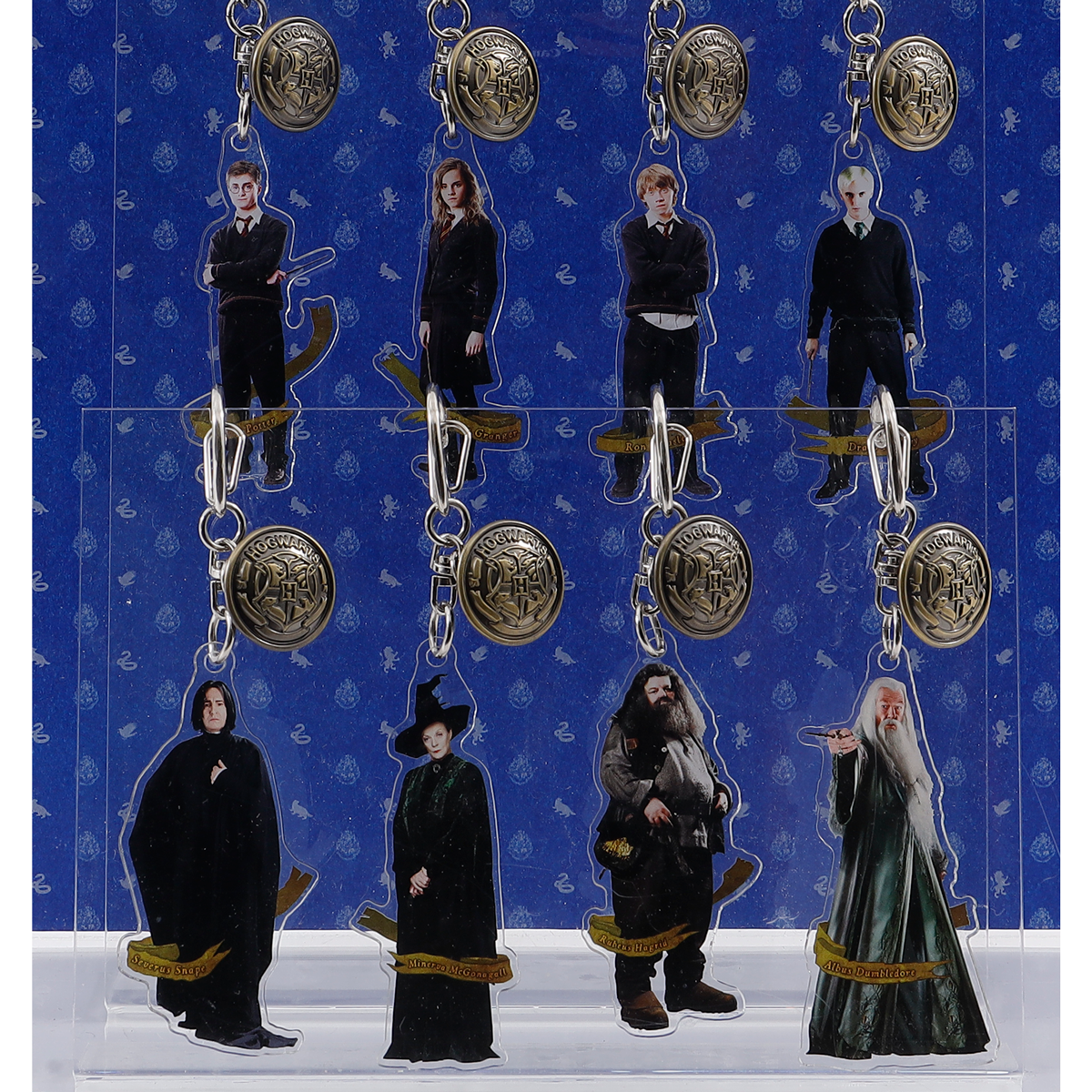 Set completo de llaveros acrílicos Hogwarts