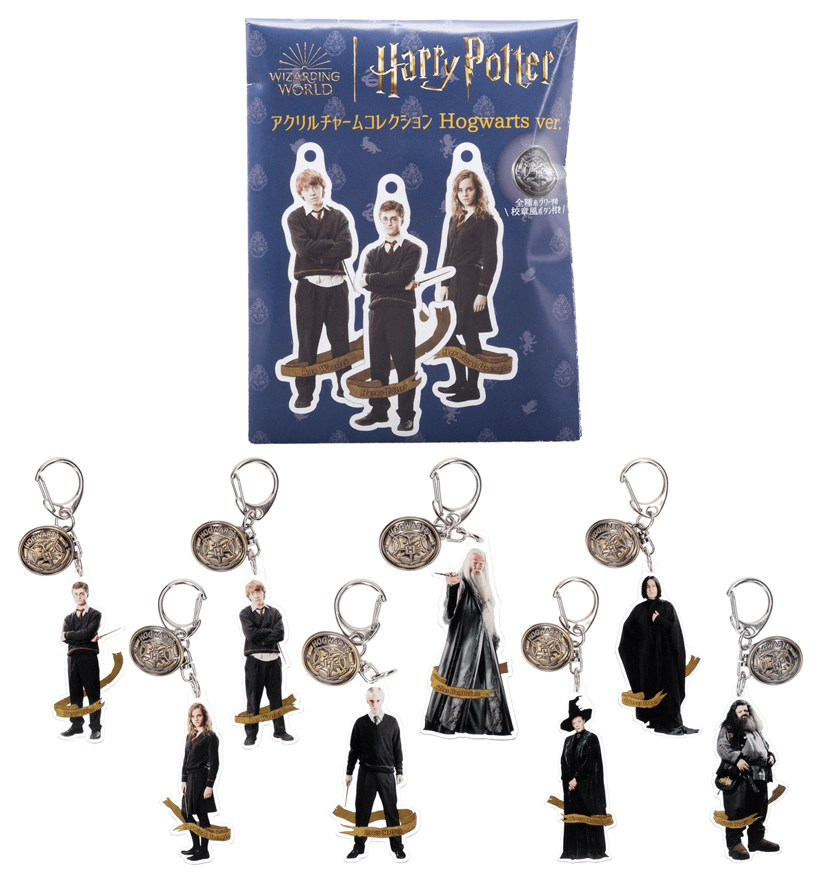 Set completo de llaveros acrílicos Hogwarts