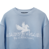 Polerón Beauxbatons de Harry Potter