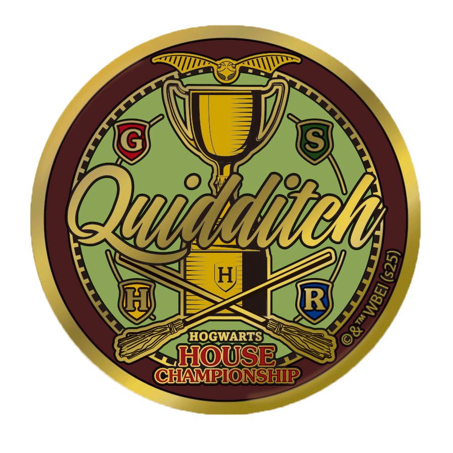 Set completo de pines dorados de Quidditch