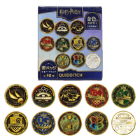 Set completo de pines dorados de Quidditch