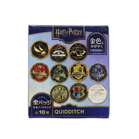 Set completo de pines dorados de Quidditch