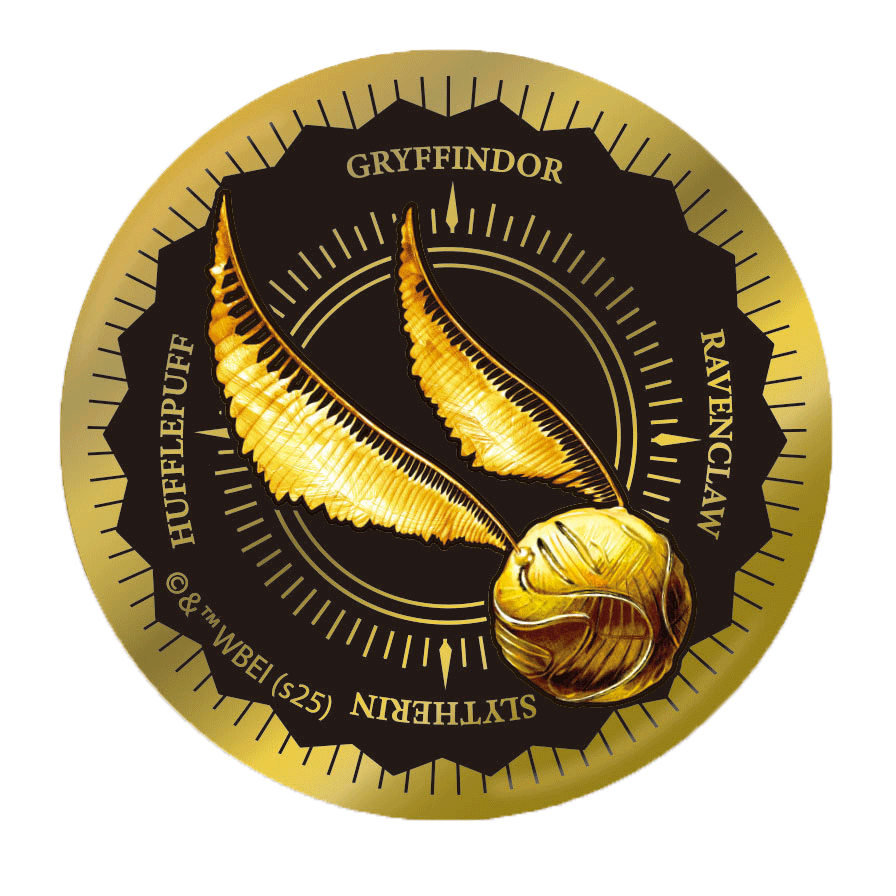 Set completo de pines dorados de Quidditch