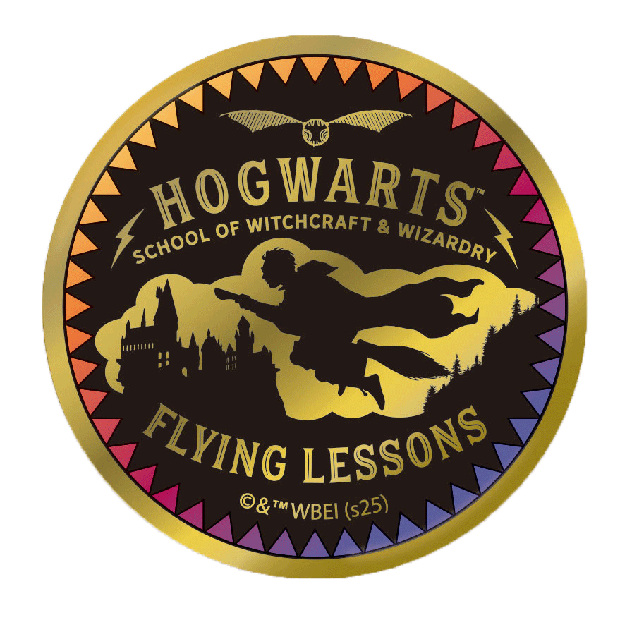 Set completo de pines dorados de Quidditch