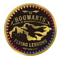 Set completo de pines dorados de Quidditch