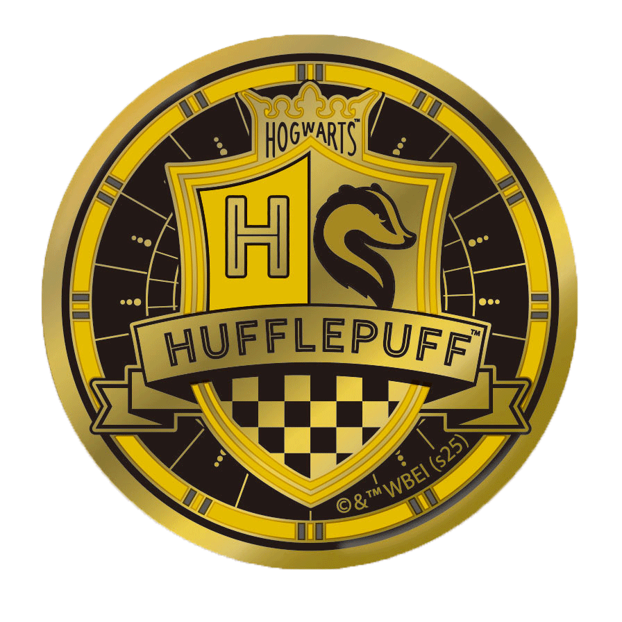 Set completo de pines dorados de Quidditch