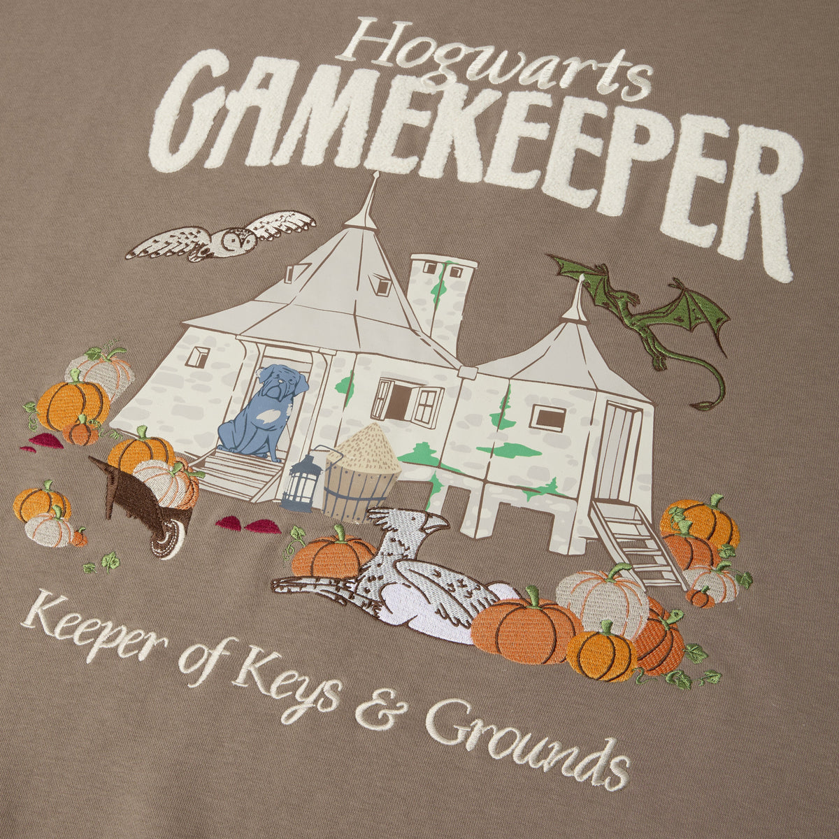 Polera manga larga Hagrid's Hut Japón