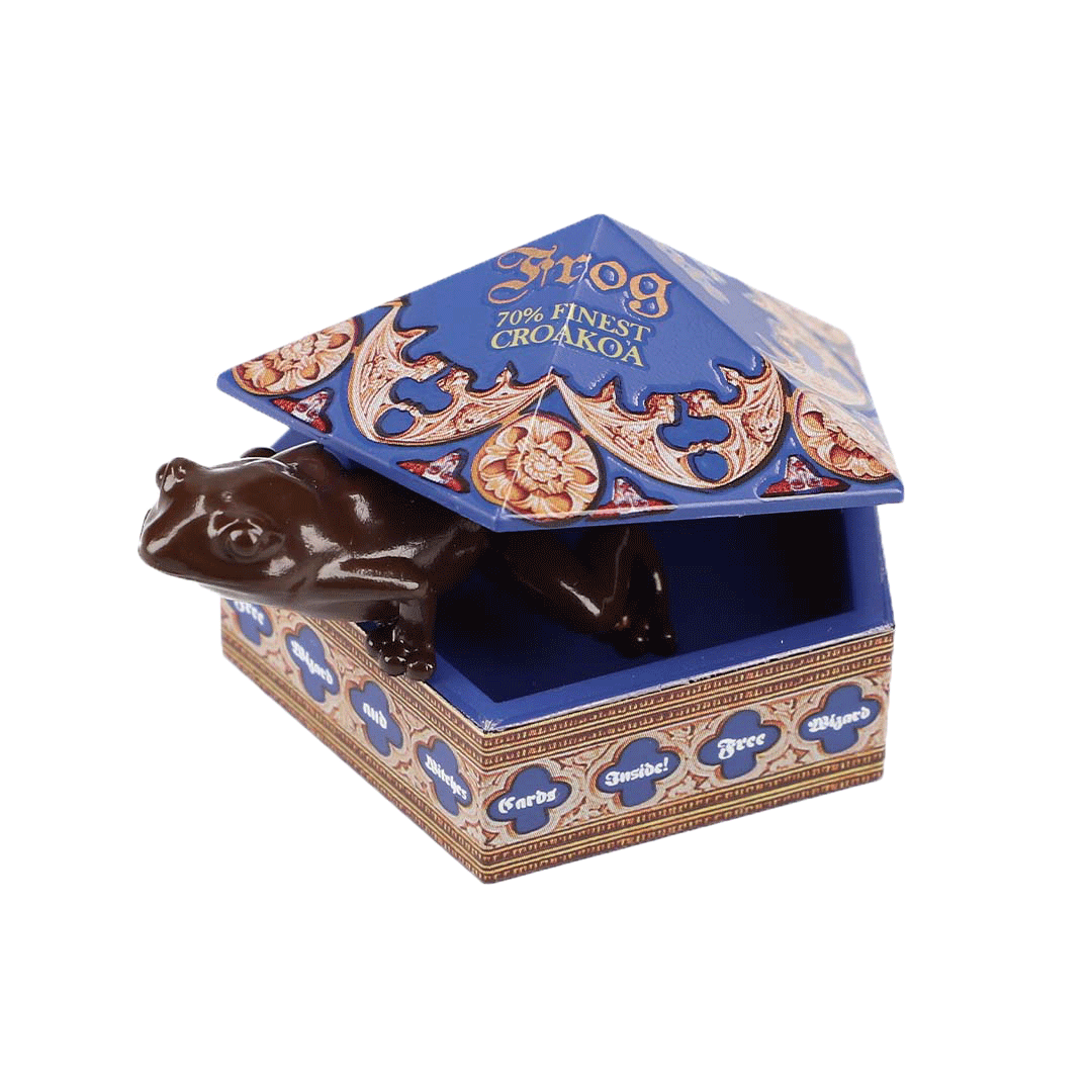 Set completo de imanes Honeydukes