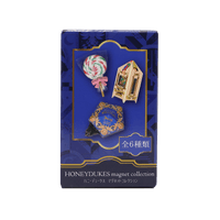 Set completo de imanes Honeydukes