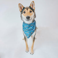 Bandana para perro Ravenclaw