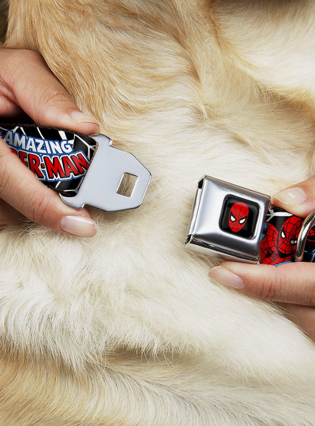 Collar para perro Spider-Man con hebilla tipo cinturón