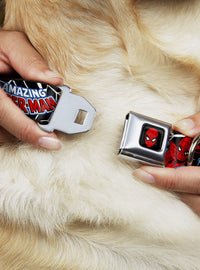 Collar para perro Spider-Man con hebilla tipo cinturón