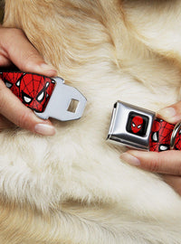 Collar para perro Spider-Man con hebilla tipo cinturón