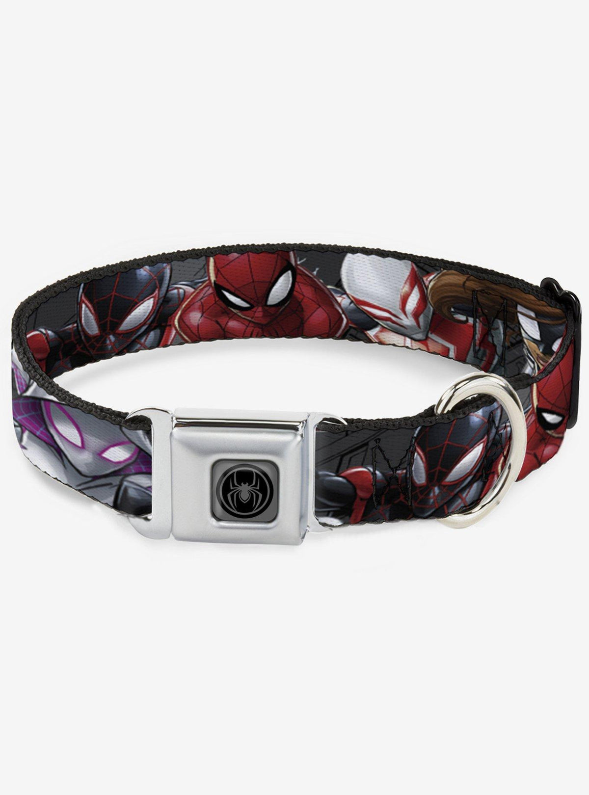Collar para perro de Spider-Man con hebilla tipo cinturón