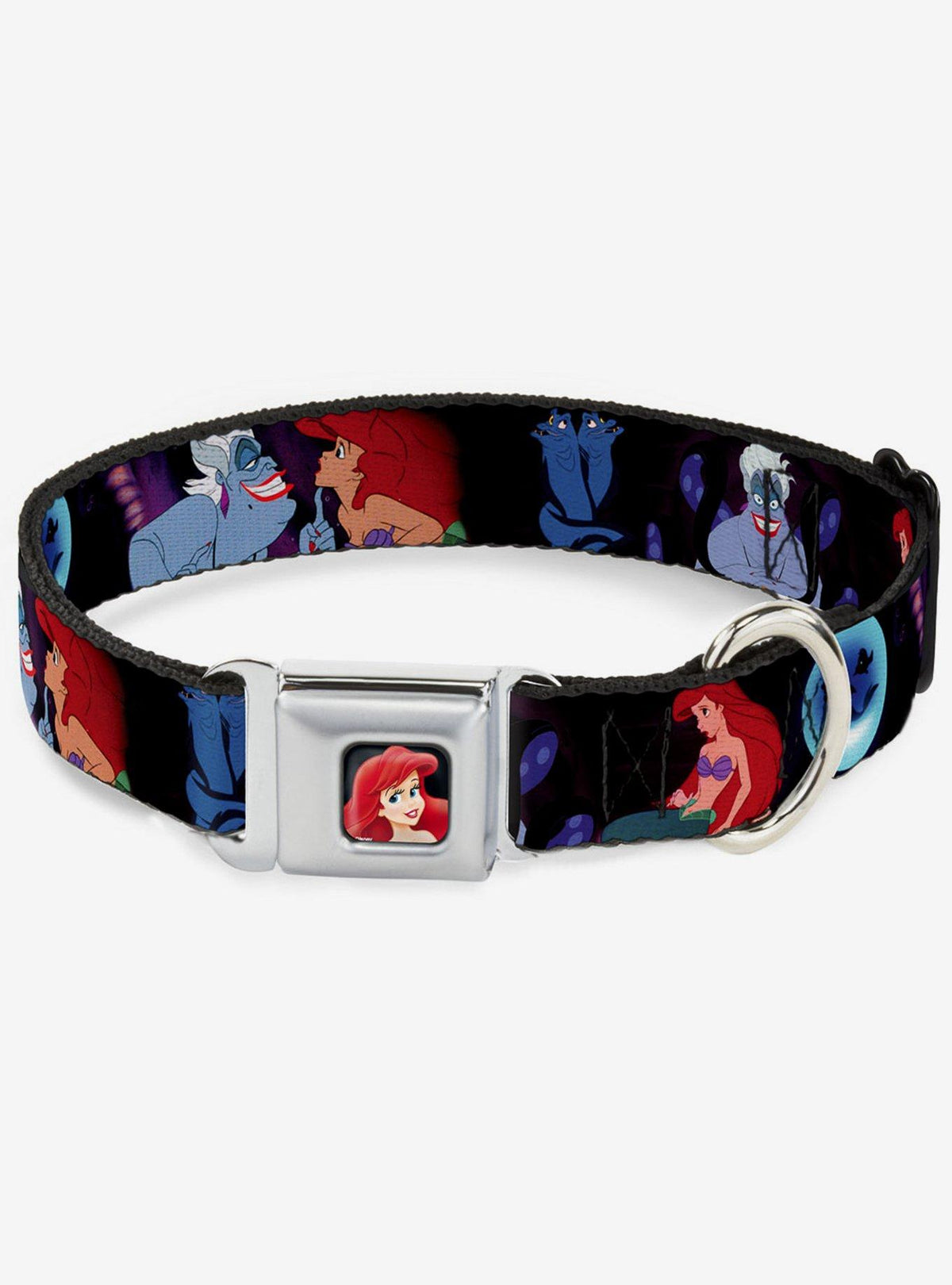 Collar para perro Disney La Sirenita con hebilla tipo cinturón