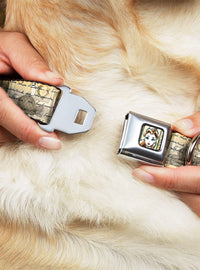 Collar para perro de Belle con hebilla tipo cinturón