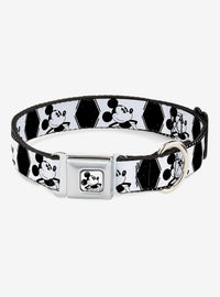 Collar para perro de Mickey Mouse con hebilla tipo cinturón